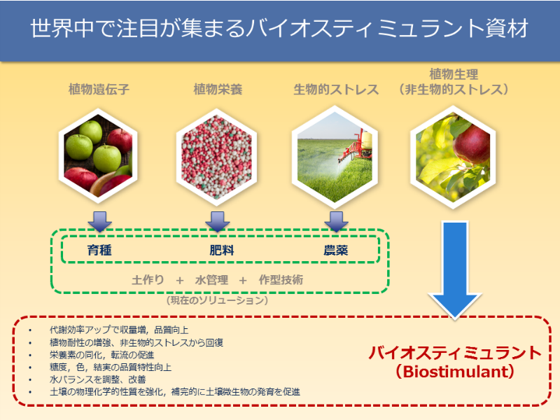 世界中で注目が集まるバイオスティミュラント資材